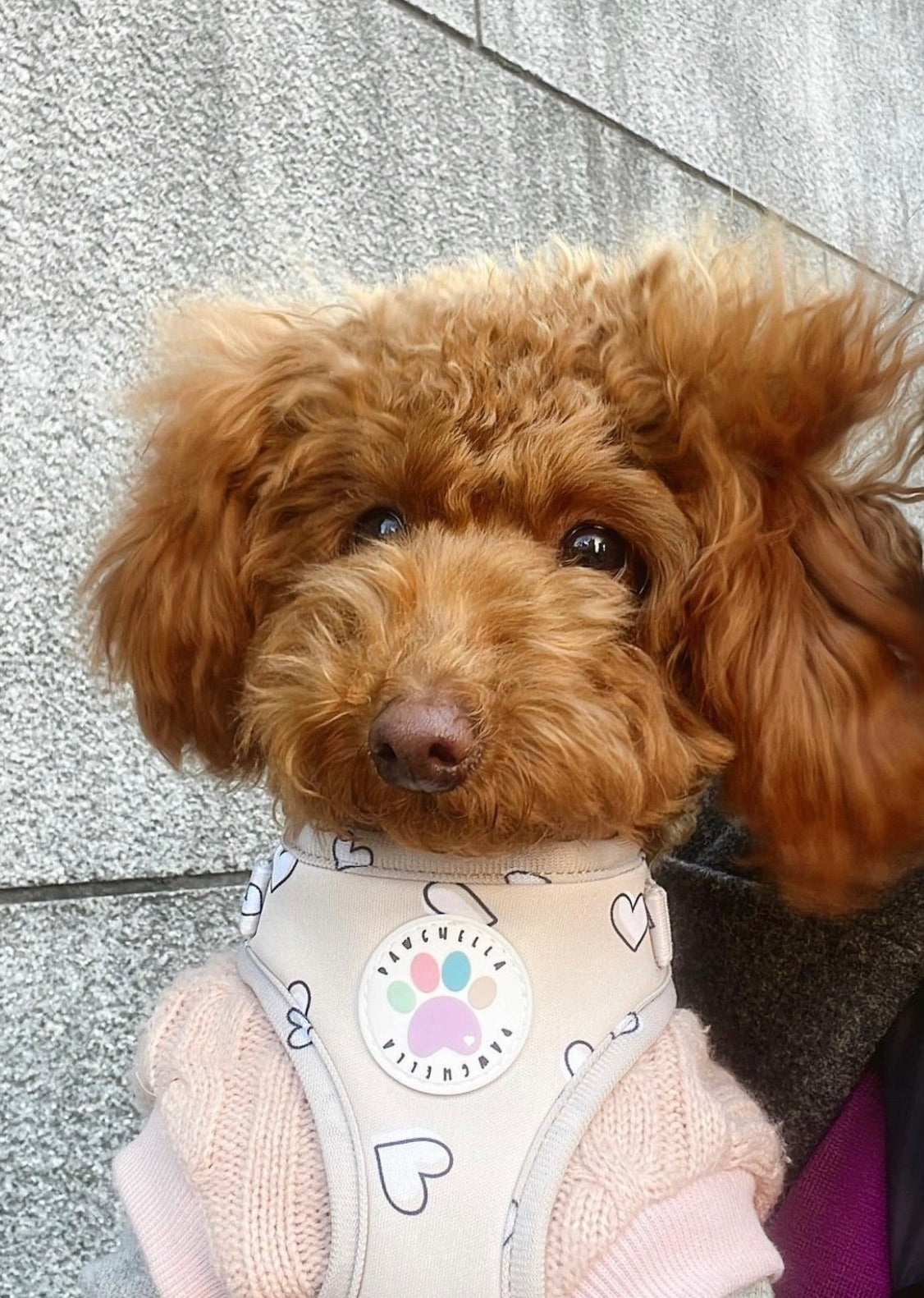 Heart of Gold Harness (6366082072745)