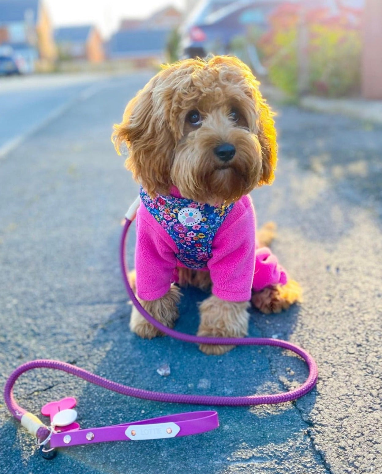 Wildflower Harness (7107796598953)