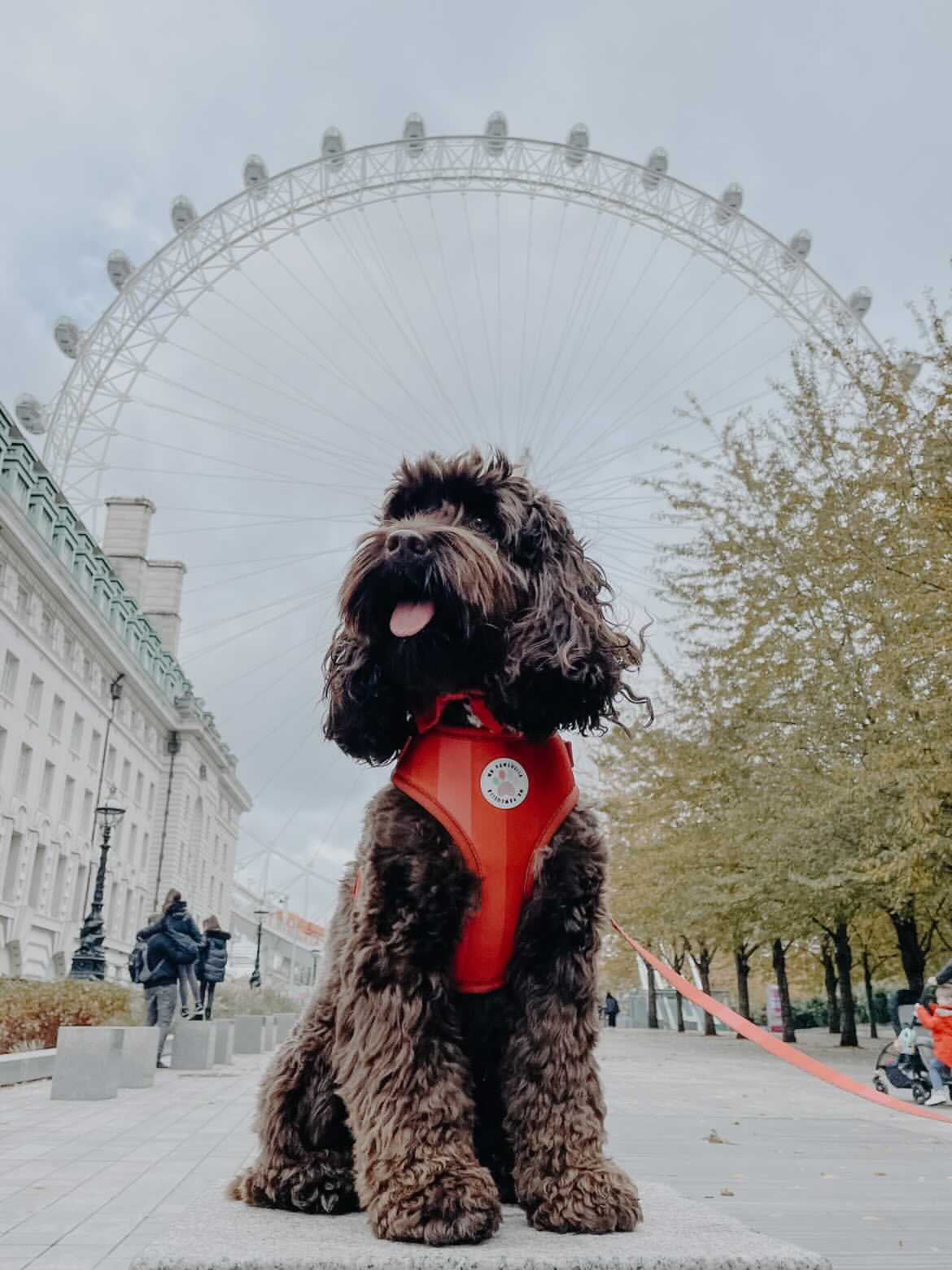 'Shades of Red' Harness (7302209142953)