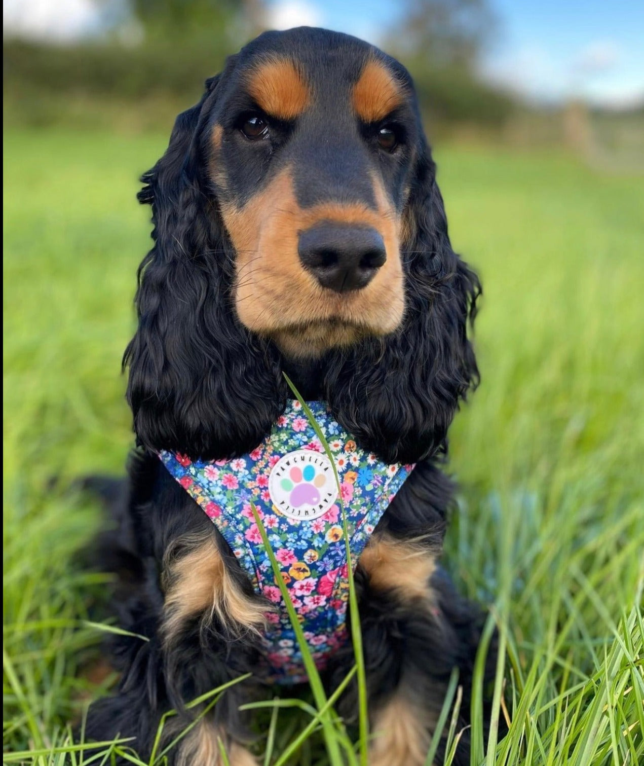 Wildflower Harness (7107796598953)