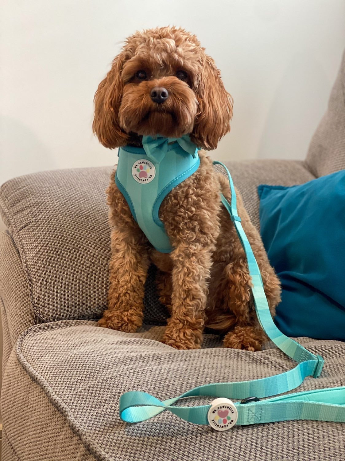 'Shades of Turquoise' Harness (7302209241257)