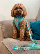 'Shades of Turquoise' Harness (7302209241257)