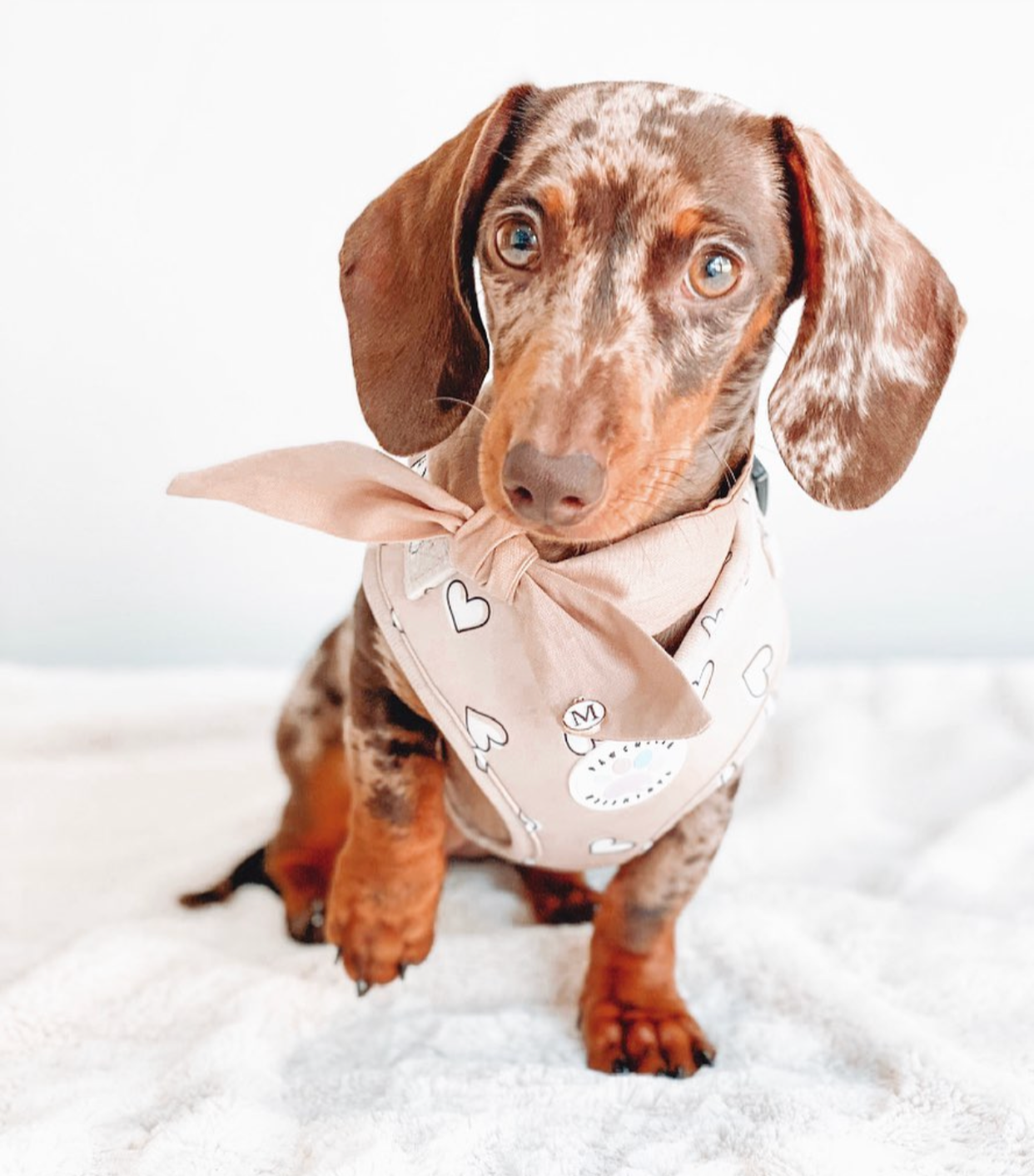 Heart of Gold Harness (6366082072745)