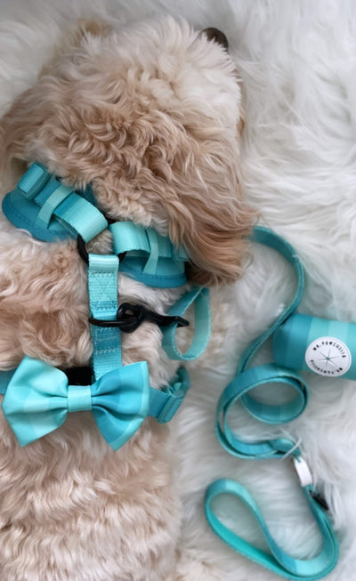 'Shades of Turquoise' Harness (7302209241257)