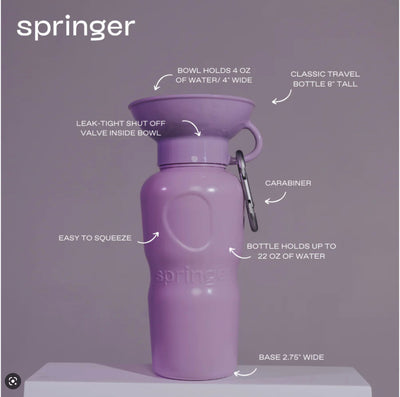 Springer Water Bottle