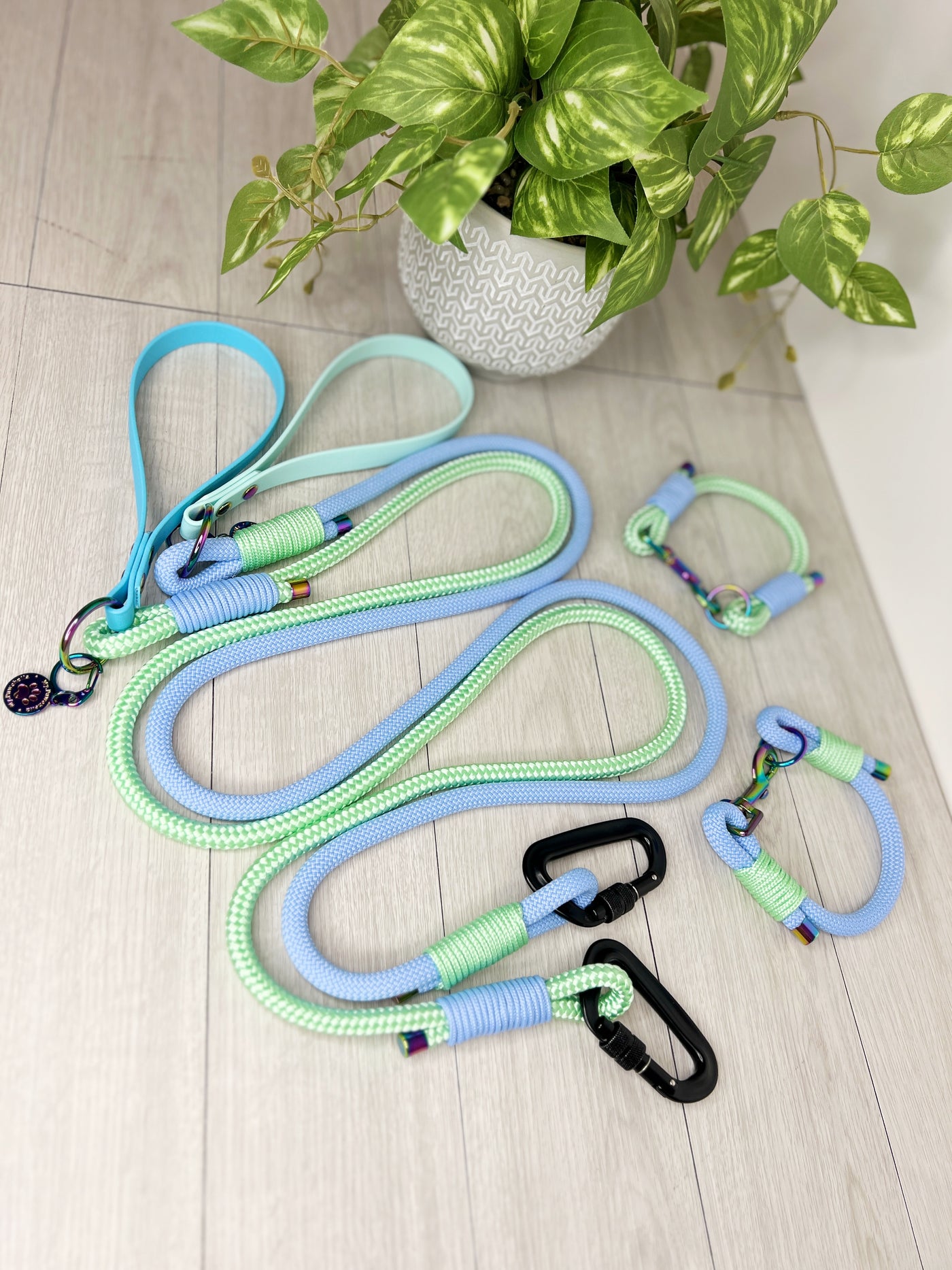 Matching Rope lead and coloured webbing / biothane collar