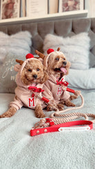 Rudolph cotton lead (7280287350953)