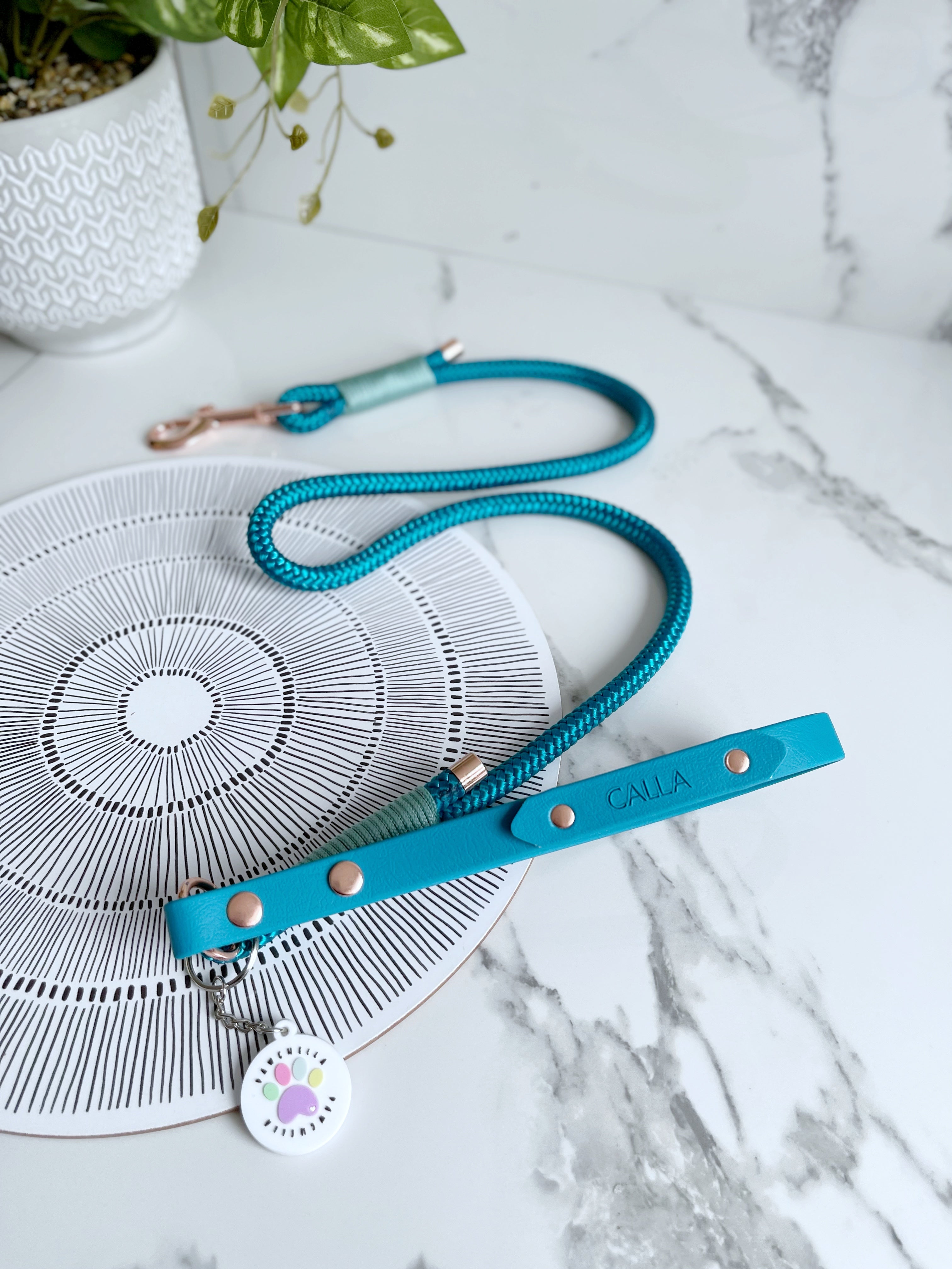 Name Tag (biothane / webbing) (5969561583785)