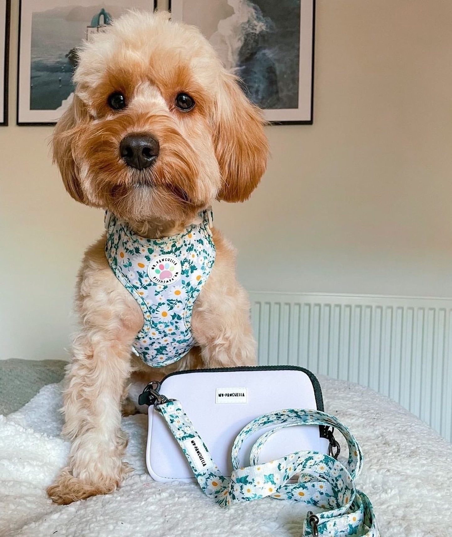 Oh my daisy Harness (7525287330019)