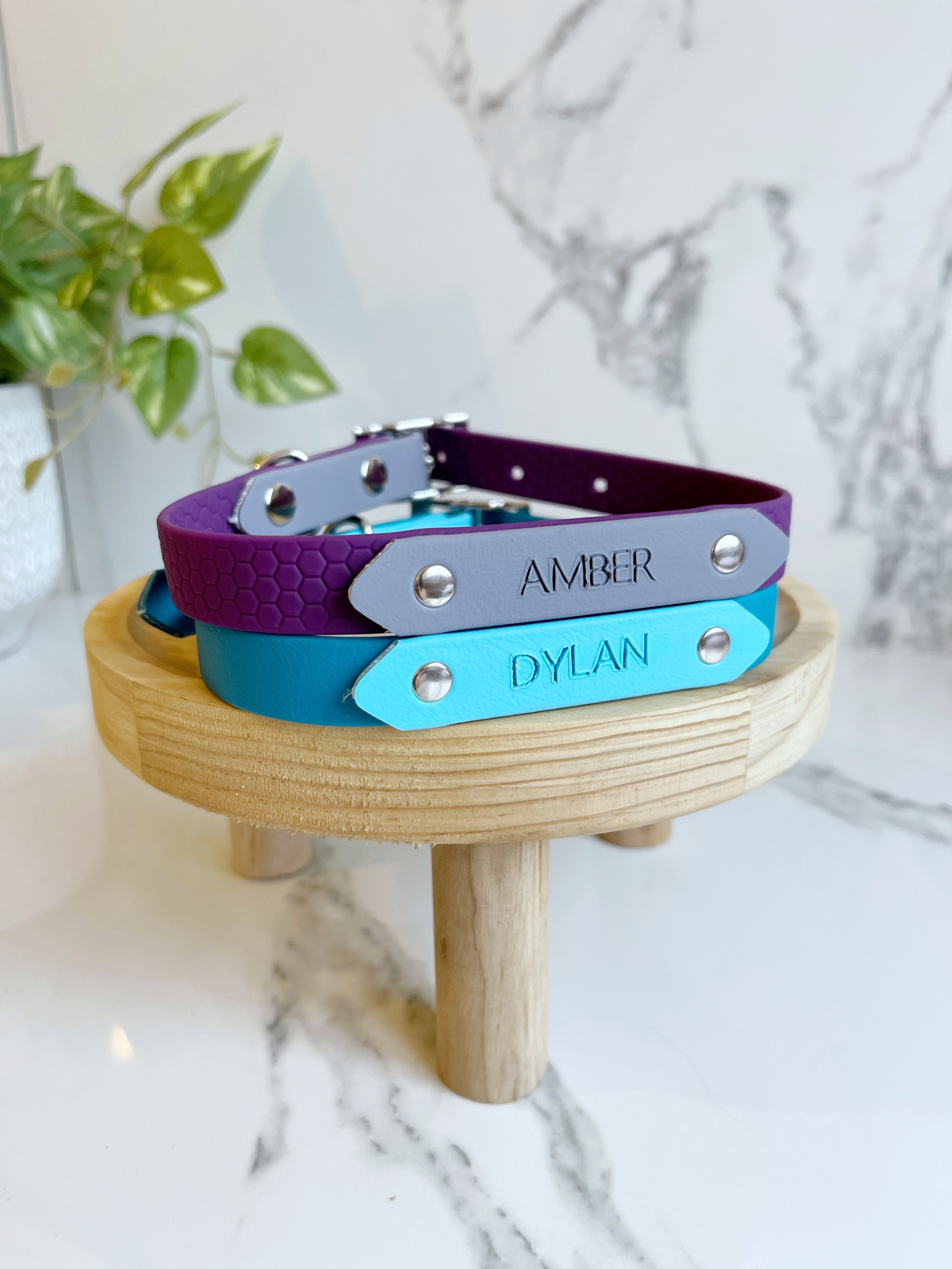 Name Tag (biothane / webbing) (5969561583785)