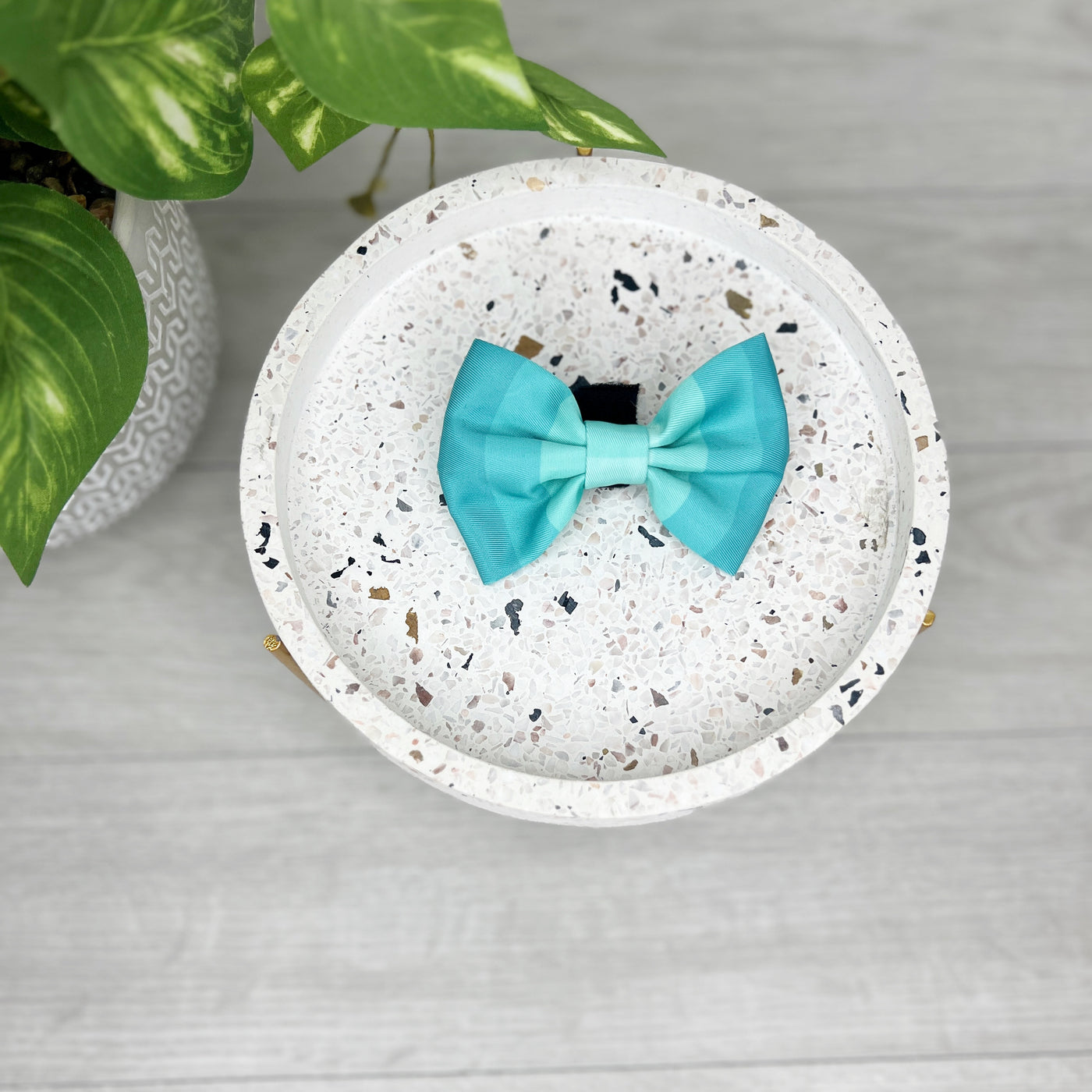 Shades of Turquoise  - Cutie bow