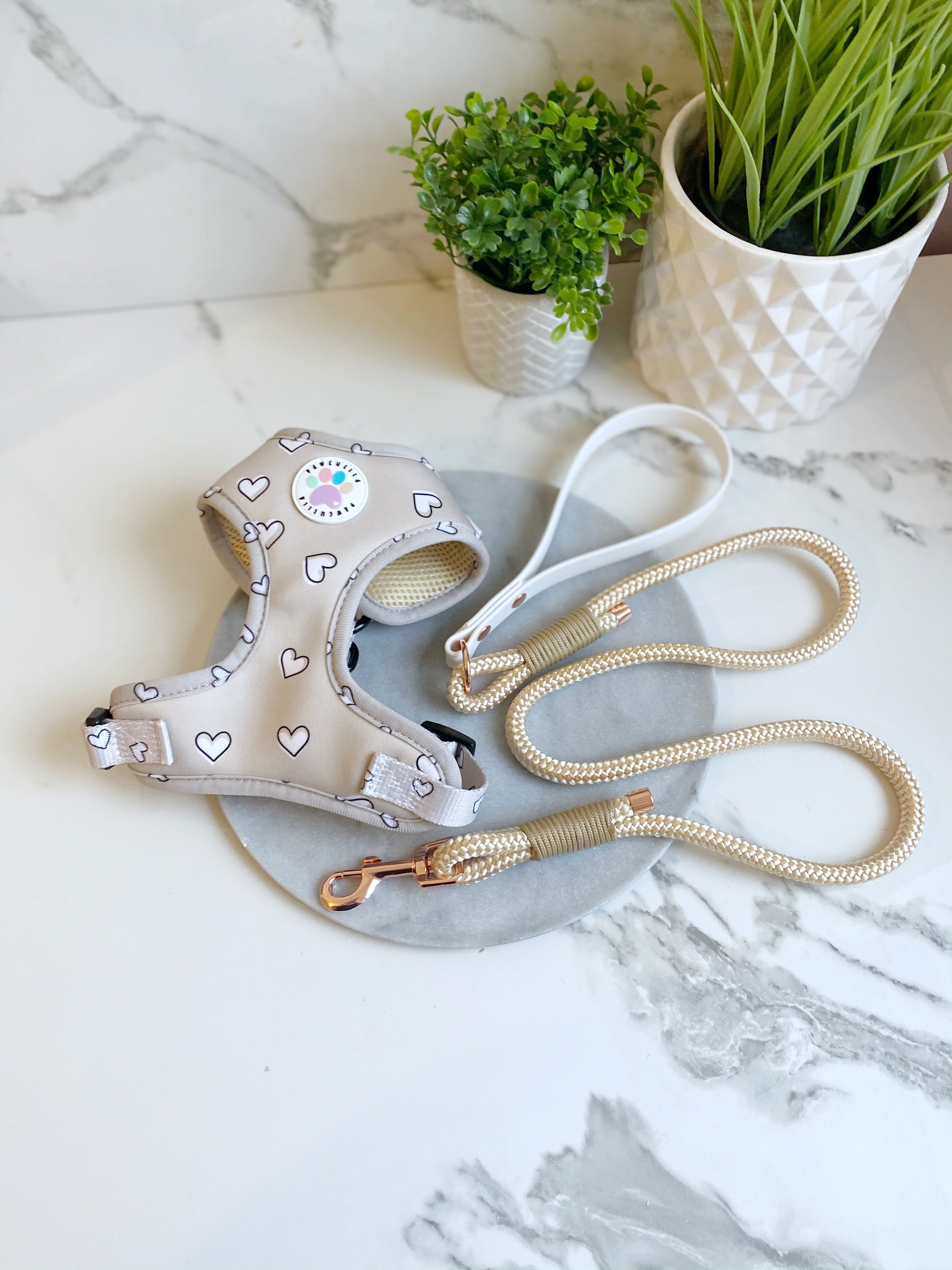 'Teddies Choice' rope lead (5976939626665)