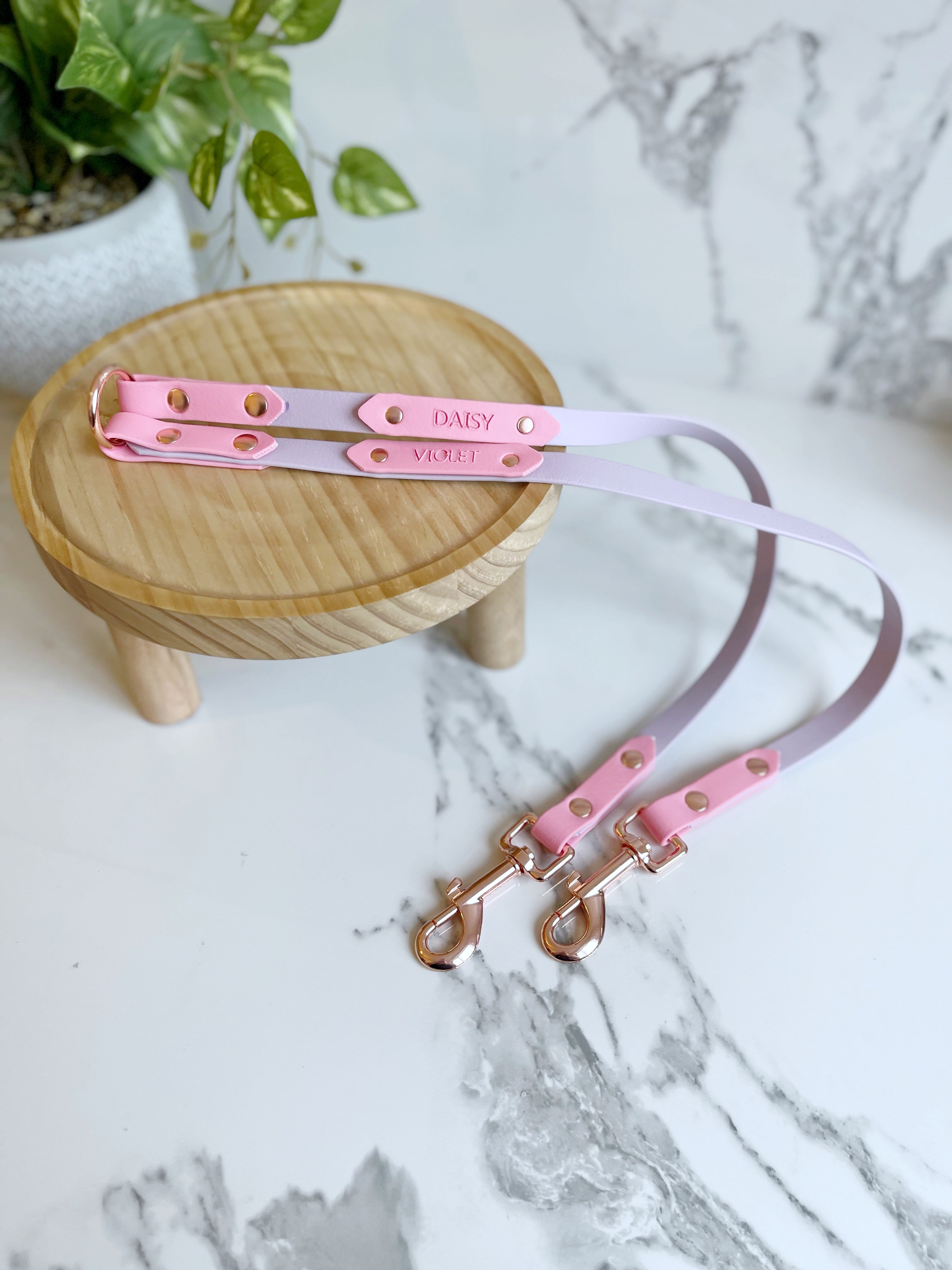 Name Tag (biothane / webbing) (5969561583785)