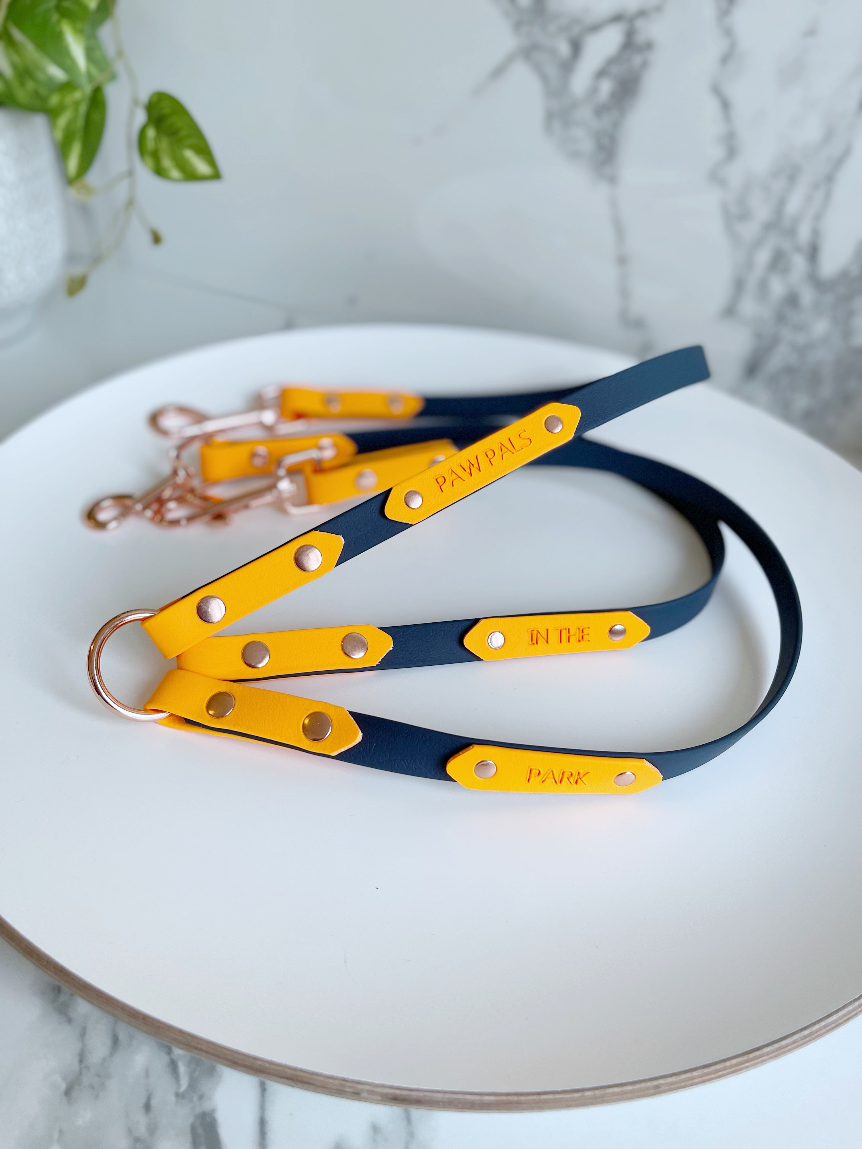 Name Tag (biothane / webbing) (5969561583785)