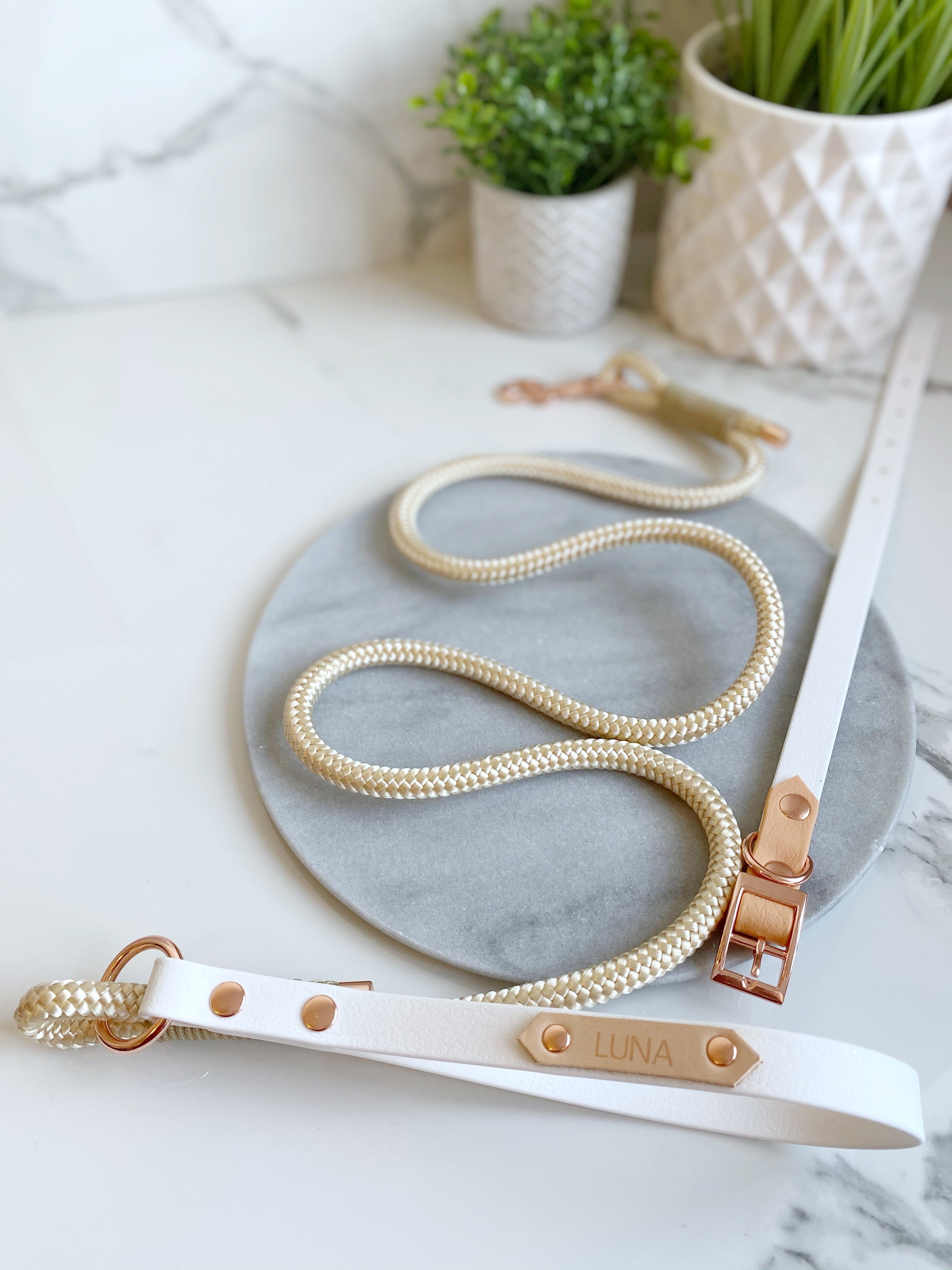 'Teddies Choice' rope lead (5976939626665)