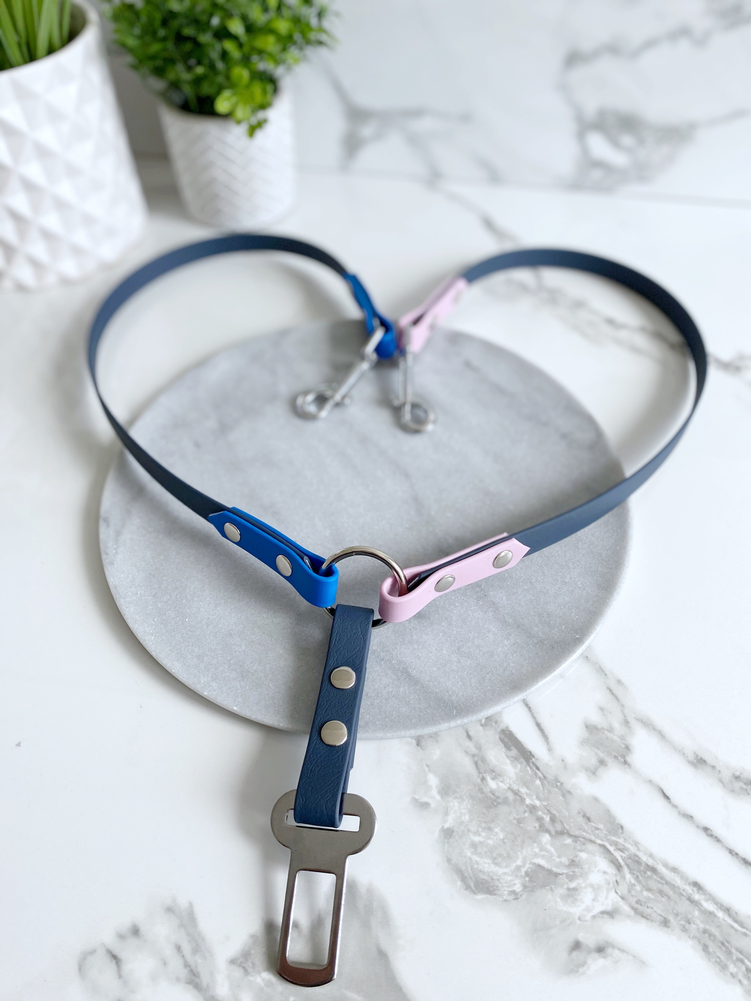 2 way Pawchella doggy belt (6787891134633)