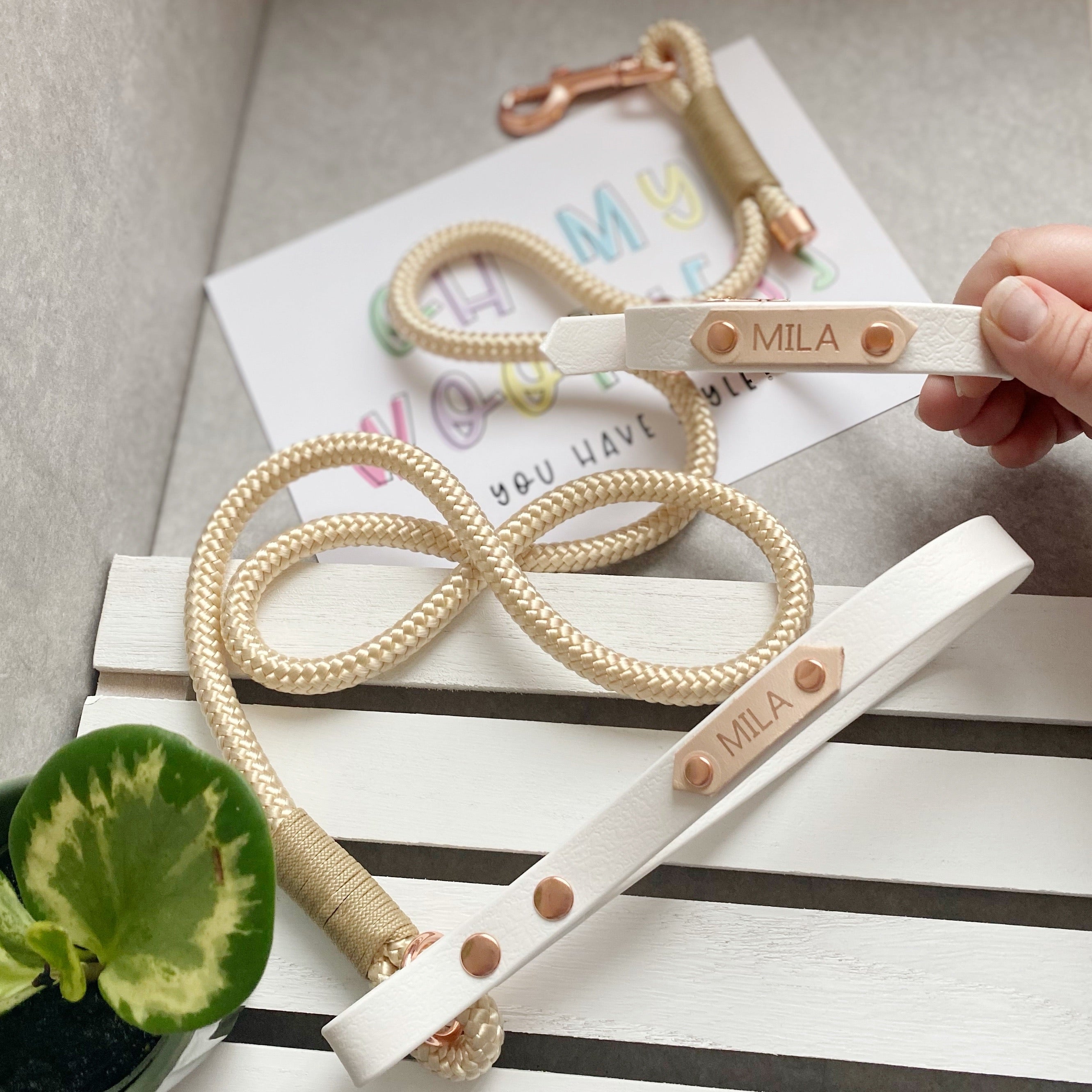 'Teddies Choice' rope lead (5976939626665)