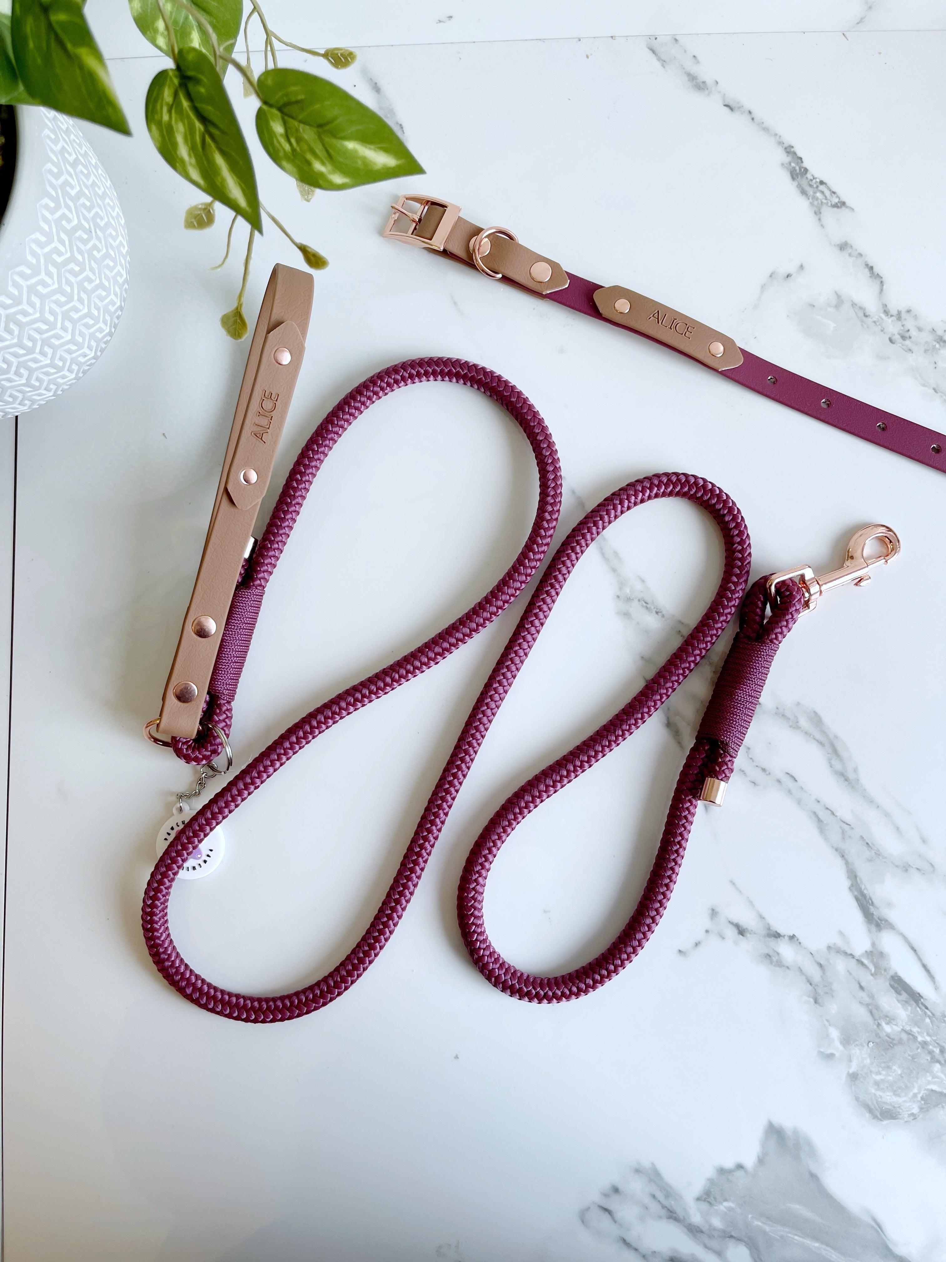 Name Tag (biothane / webbing) (5969561583785)