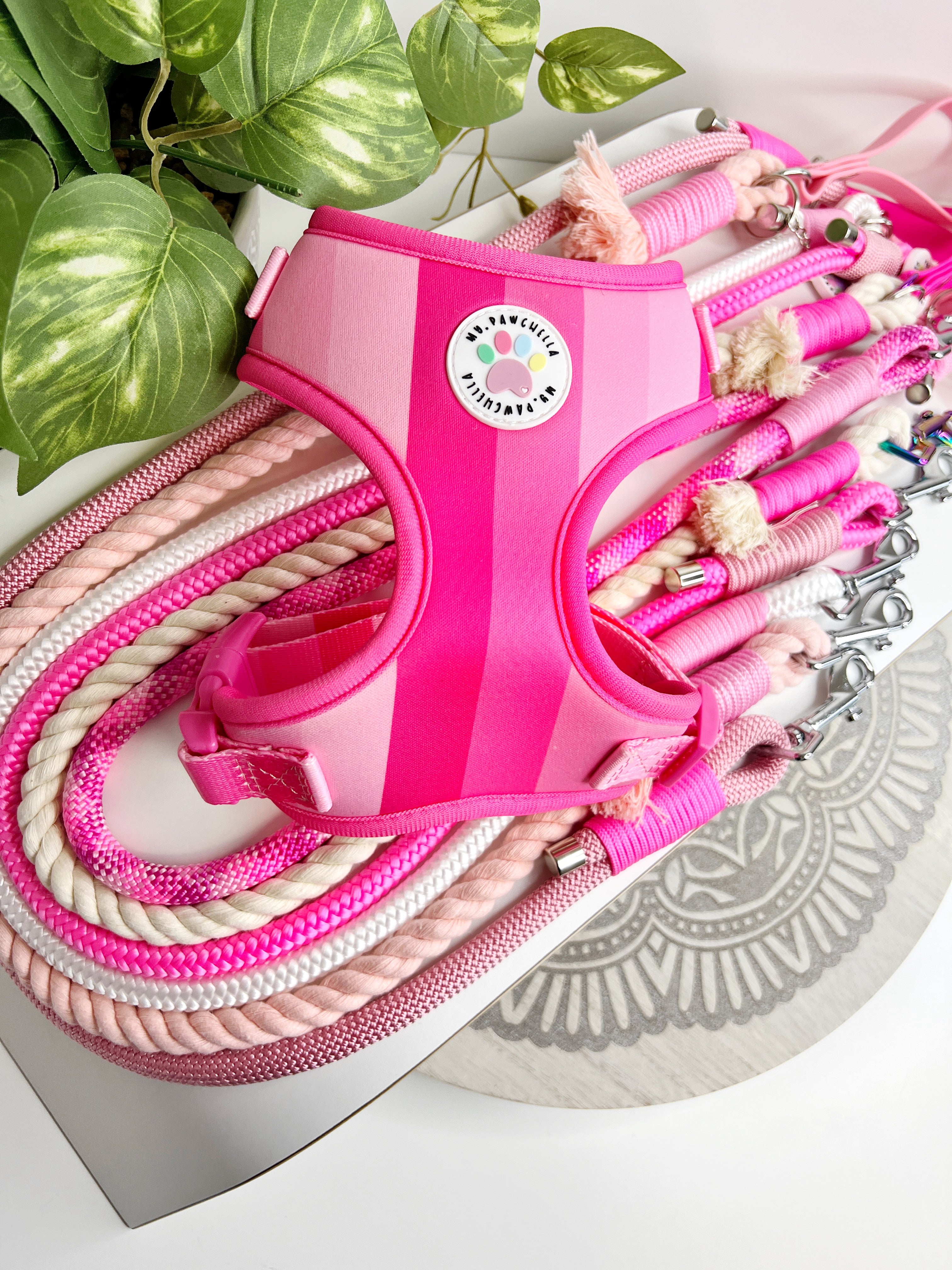 犬服・アクセサリー Pet a Portre PUPPILY HILLS Anniversary Pet a Portre PUPPILY HILLS Anniversary